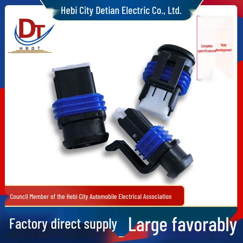 2-Pin Automotive Wiring Harness with DJ7021D-2.8-21 Plastic Sheath Plug-in Connector