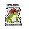 Funny Frog Quotes Enamel Pin Lapel Pins for Backpacks Cartoon Brooches for Women Animal Jewelry Accessories Friends Gift