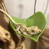 Stable Plastic Frog Geckos Platform Habitat Simulated Leaves Suction Cup Fish Resting Terrace Reptile Basking Area Geckos