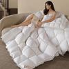 Warm White Duck Down Quilt