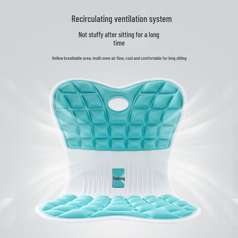 Yunyao Ergonomic Lumbar Support Posture Chair