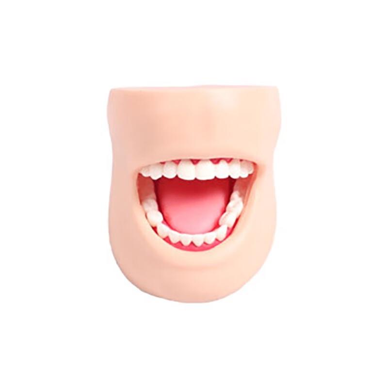 Dental Care Training Model