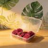 Mini 6 Stück Blumenbüschel Statische Grasbüschel Simulationsmodell Blumen für Diorama Modellbau Landschaftsgestaltung DIY für Kinder Erwachsene Kindergeburtstagsgeschenk