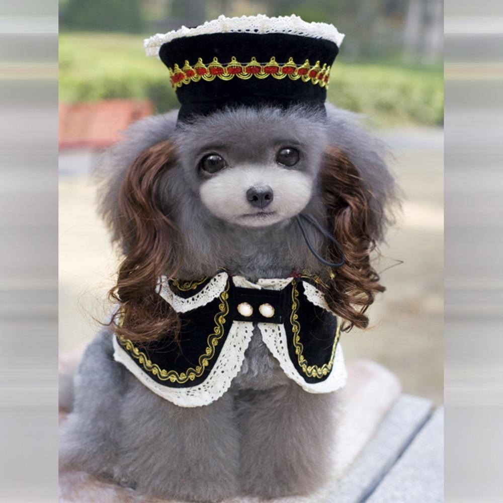Dog Cape British Elegant Trench Coat Four Seasons Can Wear Cross-dressing Shawl Handsome Cute Pet Clothes