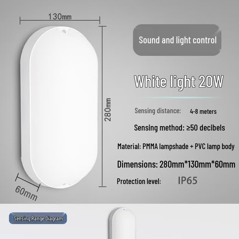 Outdoor LED Motion Sensor Wall Light