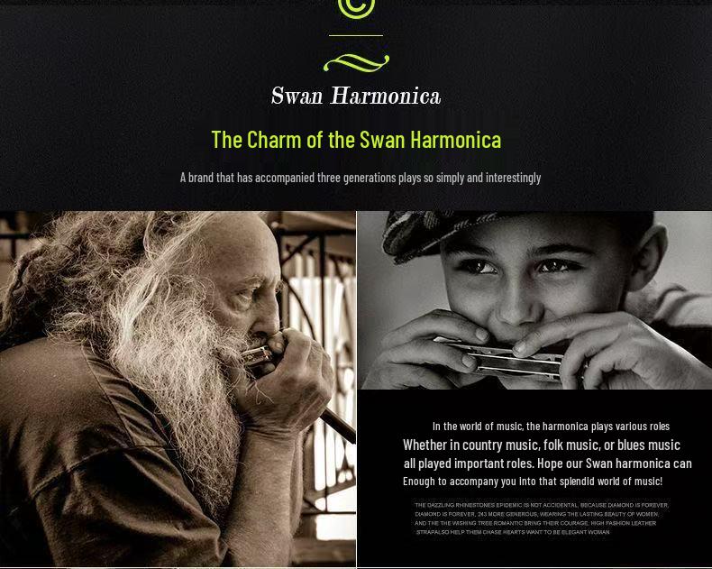 Swan 24-Hole Harmonica Set: 7-Piece and 12-Piece Options, ABCDEFG Keys, for Students and Adults, Beginner Wind Instrument.