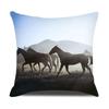 Home Decor Bedroom Pillowcase Horse Print  Farmhouse   Animal Cushion Cover  Pillow