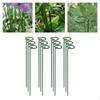 12 -fold Plant Inserts Garden Stem. Support Tires Props