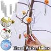50/100/200PCS Reusable Plastic Flower Water Tubes Flower Vials with Caps Decoration Roses Fresh Flowers Florist Nutrition Flower
