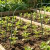 1 Set Gartenbögen Kunststoffummantelt Gewächshausbögen Rostbeständig Pflanzenabdeckung Stütze Anzuchttunnel für Hochbeete Gartenreihenabdeckung