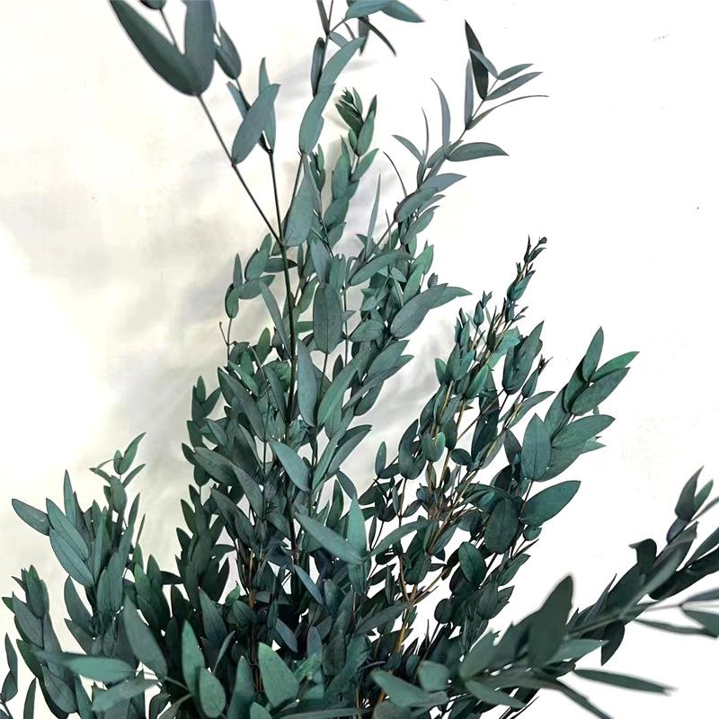 

Eucalyptus Fine Leaves 120G Us Leaves Eucalyptus Mori Home Flower Arrangement Wedding Scene Soft Decoration With Leaves Eucalyptus