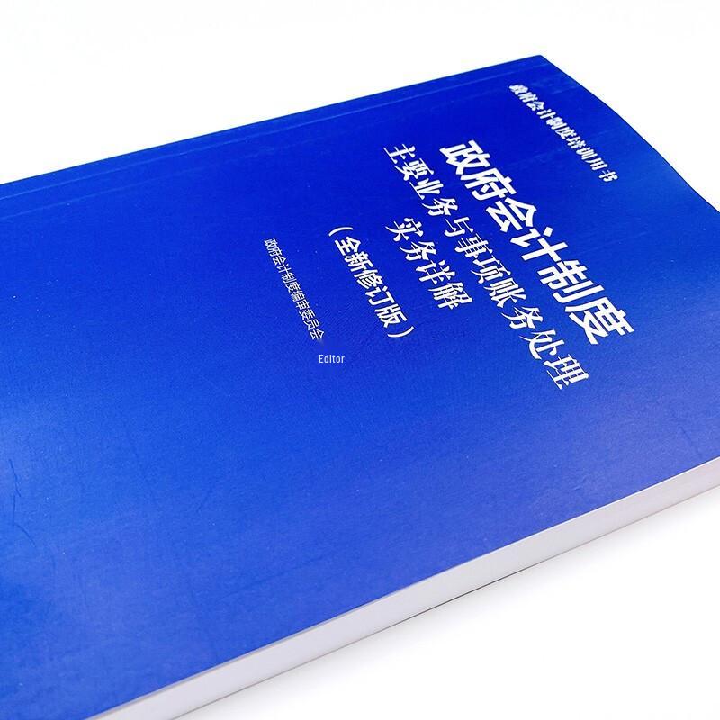 Government Accounting System Practical Guide