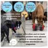 Jouet interactif pour Chien Distributeur de croquettes,Balle Interactive Chien,Jouet Intelligent,Jouet Chien Indestructible,Jou YYV