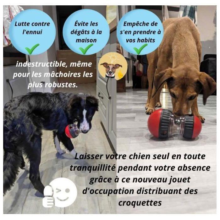 Jouet interactif pour Chien Distributeur de croquettes,Balle Interactive Chien,Jouet Intelligent,Jouet Chien Indestructible,Jou YYV