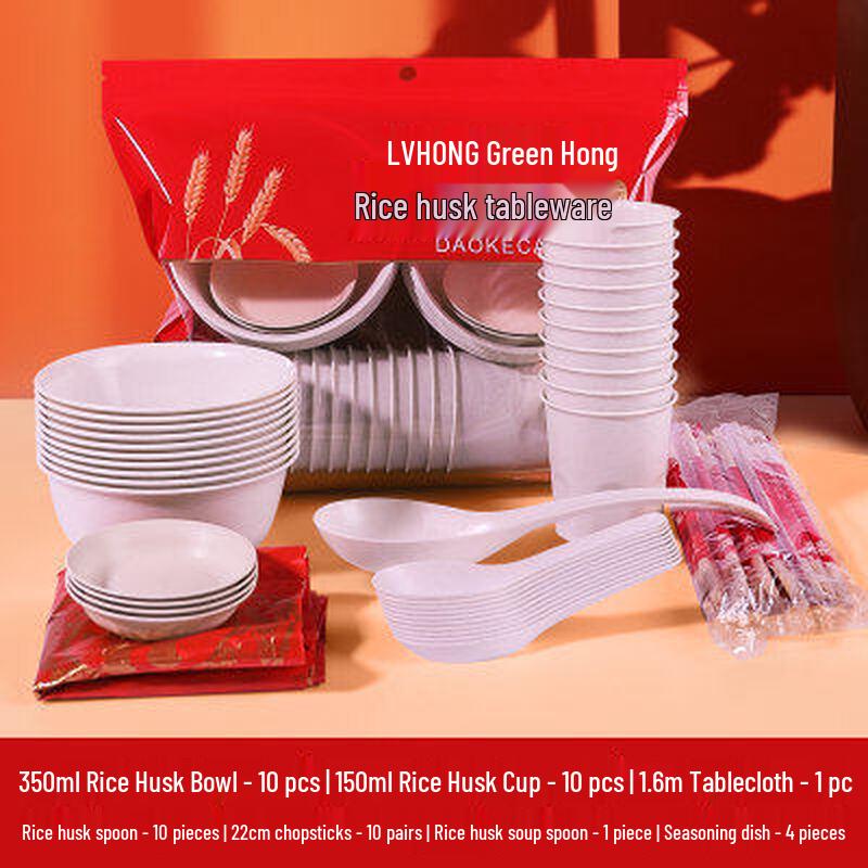 ZISIZ Disposable Dinnerware Set