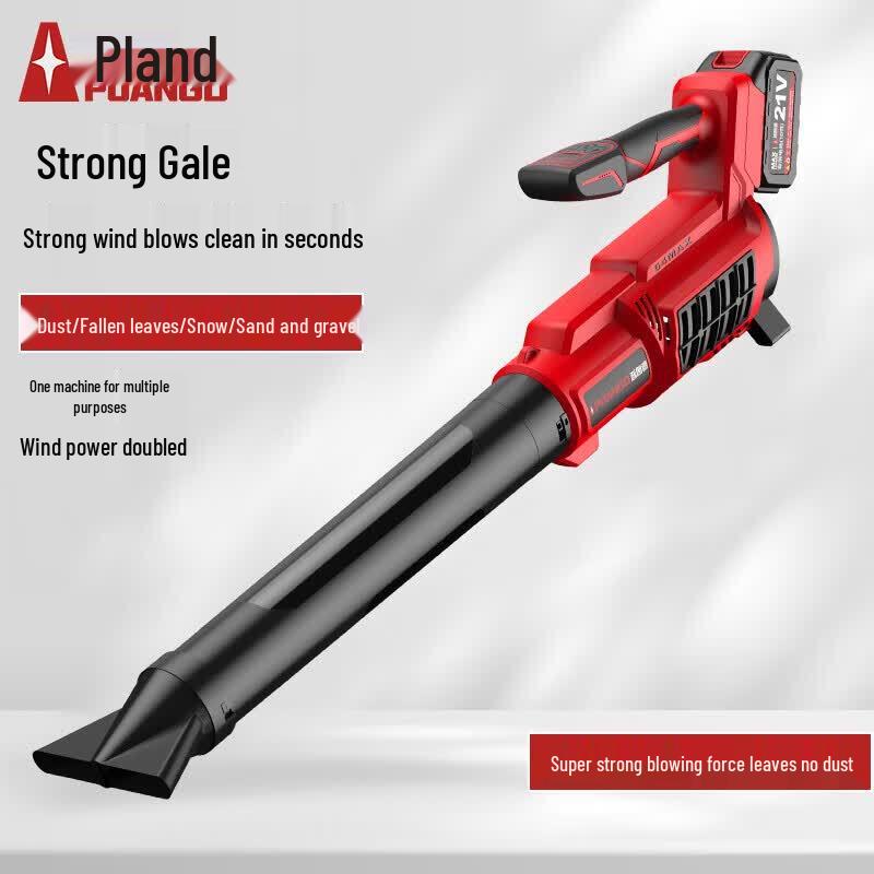 Pulangde High-Power Cordless Blower CN plug (adapter included)