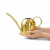 Golden 500ML Stainless Steel Watering Can with Long Spout - Green Plant Sprayer & Small Garden Sprinkler