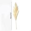 5Pcs 70cm Artificial Pampa Grass Dried Branches Stems Faux Bulrush Reed Flower For Vase