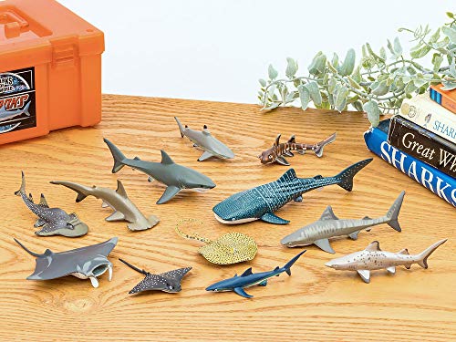 Carolata 3D Illustrated Guide to Sharks (12 Figures / Includes Instruction Manual and Stand) Realistic Toy (Educational Toy) Birthday Gift (Food Sanit