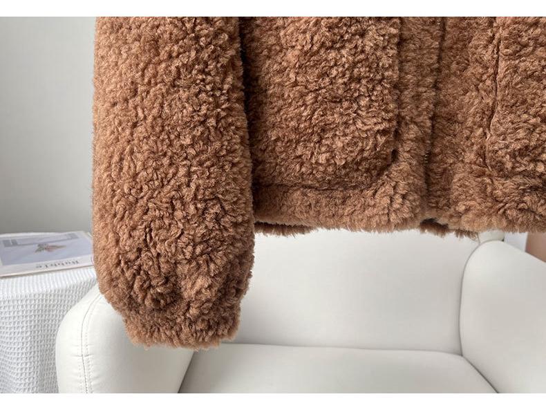 Women's Faux Lamb Wool Hooded Coat: New 2025 Autumn/Winter Double-Sided Plush, Thickened Short Coat/Sweatshirt