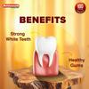 Baidyanath Dant Manjan Lal Herbal Tooth Powder 200 G Pack for Oral Care and Gum Strengthening