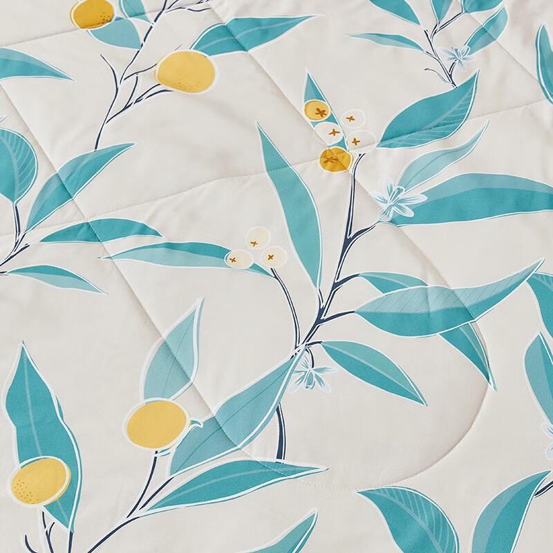 Luolai Soft Summer Fiber Quilt