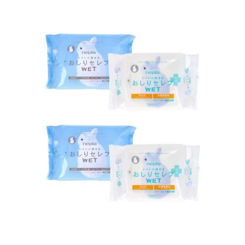 Oshiri Celeb Wet Unscented + Medicated Refill, 60 Wipes, Flushable, Wet (2 of Each)