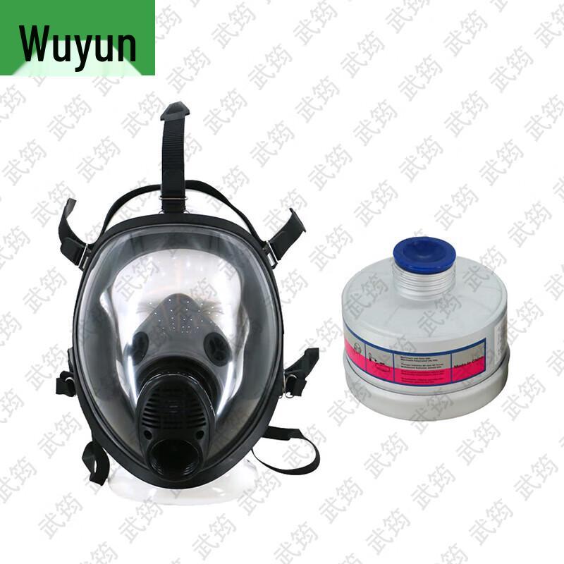 Wujun Spherical Full Face Respirator Mask