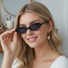 Small Oval Sunglasses Women Men Trendy Vintage Hip Hop Cat Eye Sun Glasses Female Leopard Black Punk Eyewear UV400 Oculos