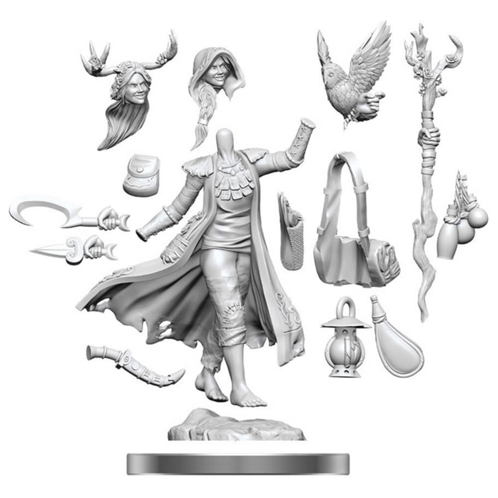 D&D Frameworks Miniature Model Kit (Human Druid F)