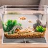 5W Reptilien Heizmatte Terrarium Klettertier Heizung Wärmematten Einstellbarer Temperaturregler Matten Reptilien Zubehör