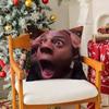 Styles Funny Meme Face Pillow Covers  Viral Streamer Polyester Cushion Cases for Sofa Bedroom Dorm Decor
