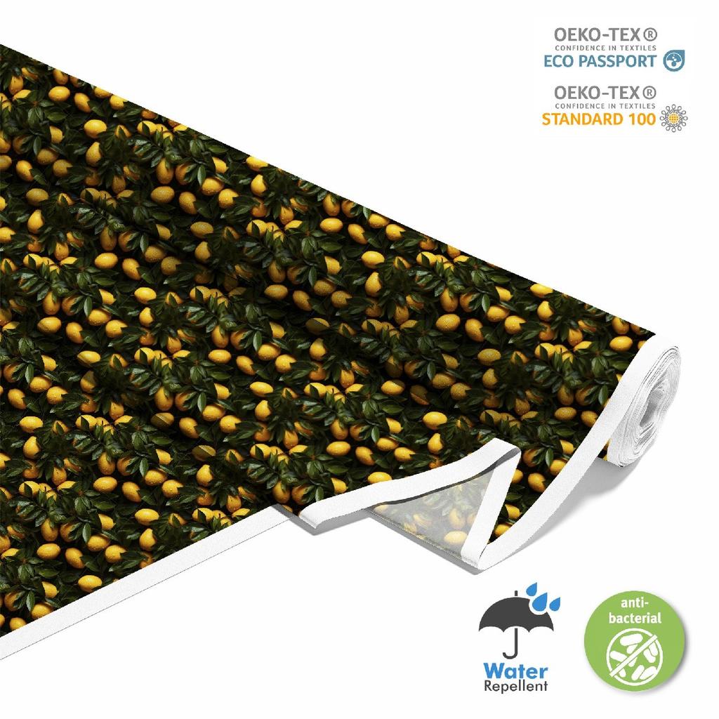 Outdoor Dekostoffe Oxford - Motiv Obst | Dx6677