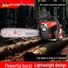 DH-2 4-Stroke Gasoline Chainsaw CN Plug (adapter Included)