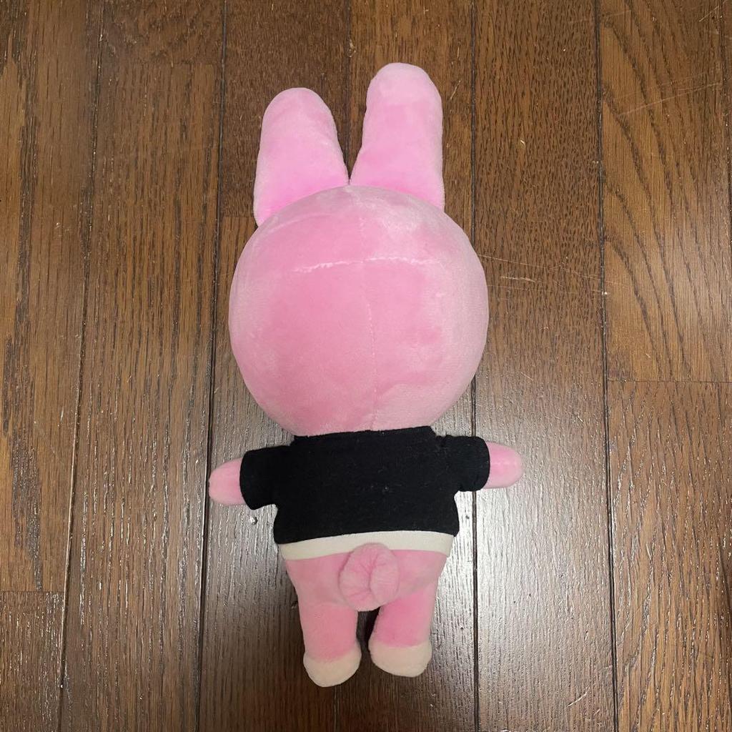 [USED] SKZOO Toekki Original Plush Toy Changbin