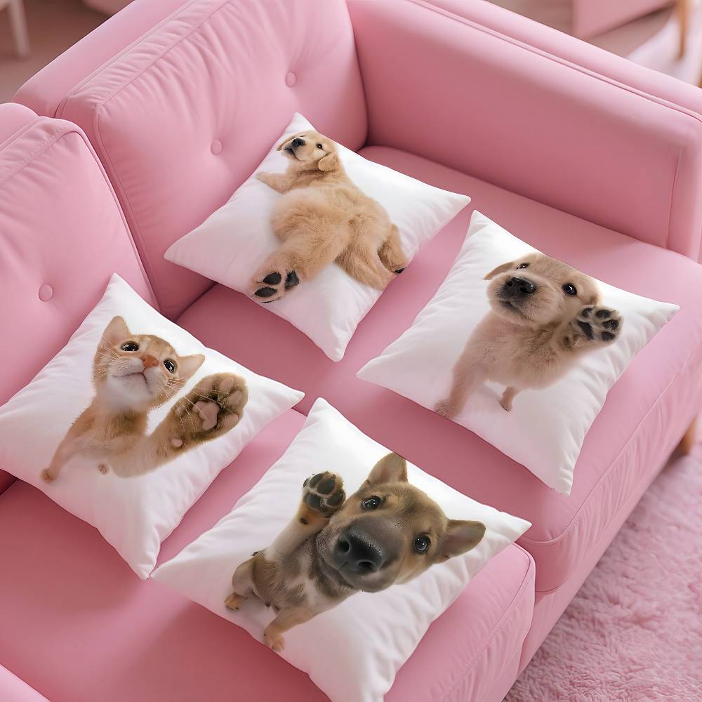 Kwaii katt hund Kuddfodral Kvalsterfritt Kudde Osynlig dragkedja Silkeslen kort plysch Soffkuddfodral