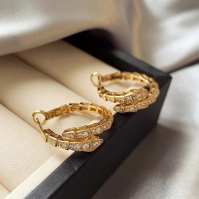 2024 Design Sense Classic Snake Shaped Micro Set Zircon Drop Earrings Luxury Jewelry Accessories for Women At Wedding Parties