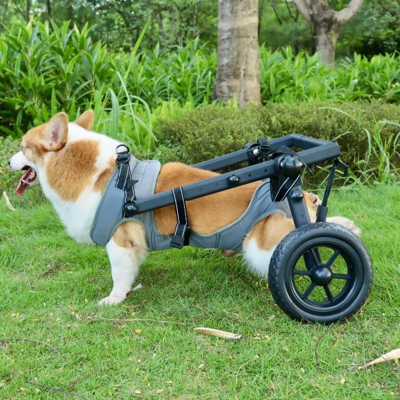 Medium and Large Pet Dog Wheelchair Dog Rehabilitation Walking Assistance Cart Moped Pet Dog Scooter
