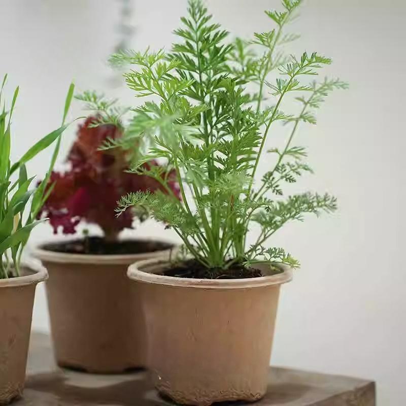 Degradable Pulp Seedling Pot Watermelon and Strawberry Breeding Pots Nutrient Pots Cultivation Cup Planting Pot Nutrition Cups