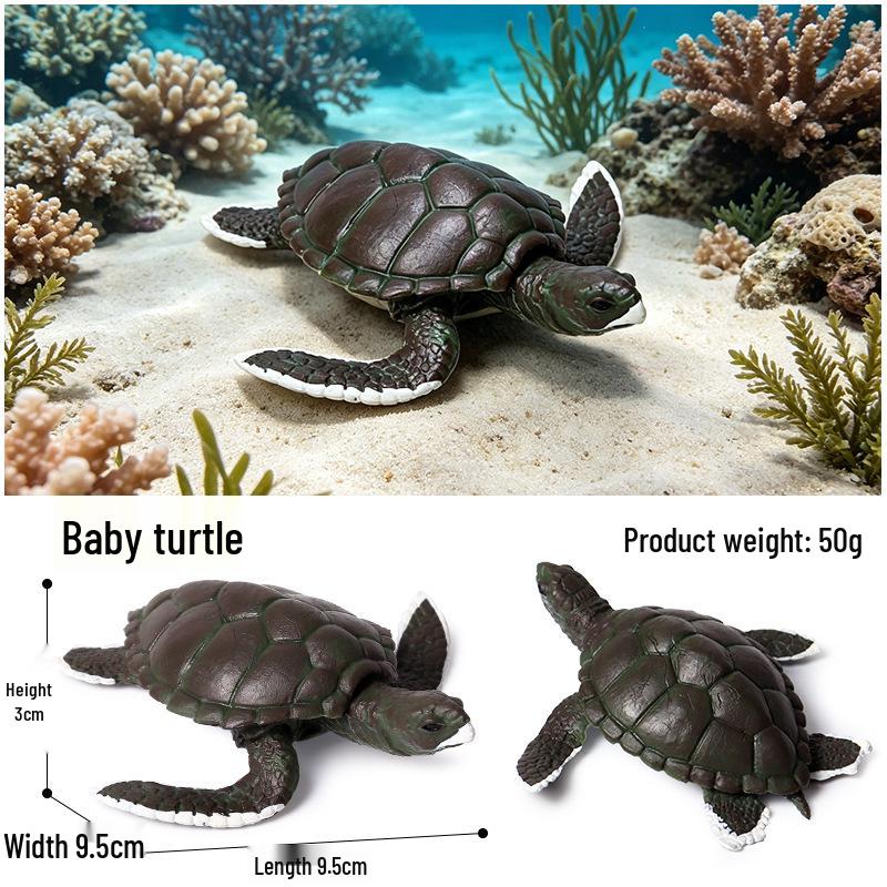 Children's Cognitive Marine Animal Models: Sea Turtle and Tortoise Toys