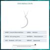 S925 Sterlingsilber Halbmond Anhänger Halskette für Frauen Geburtstagsgeschenk Pavé-Fassung Zirkonia Exquisiter Feinschmuck