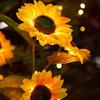 Solar Powered Sunflower Garden Lights Bright Sunflower LED Outdoor Decorative Post Lights Suitable For Yard, Terrace, IP65 , Great Gardening Gift