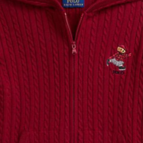 Polo Ralph Lauren Hoodie Cotton Full Zip Kids Kids sweaters 313951749-002