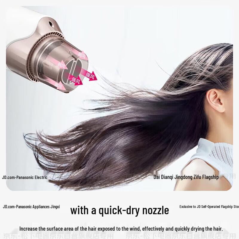 Panasonic EH-WNE6A Negative Ion Hair Dryer CN plug (adapter included)