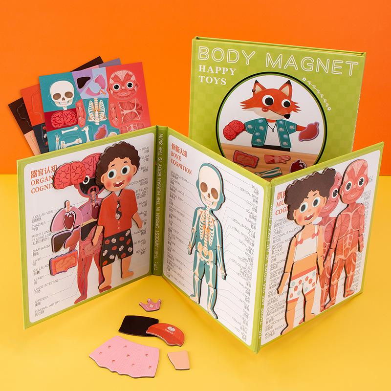 

Магнитная обучающая книга «Тело человека»: Скелет и органы для детей