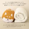 Toyo Case Cool Futon Cushion Friends, Size: Approx. 35cm Diameter x 60cm Length, WEB-COOL (Hedgehog)