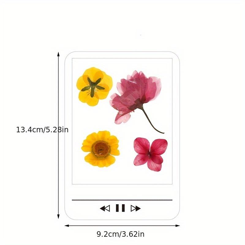 Pressed Flower Art Stencils - Cute Shaped (Bottle/Film) Clear Templates, DIY Resin/Scrapbook Decoration Tools with Dried Flower