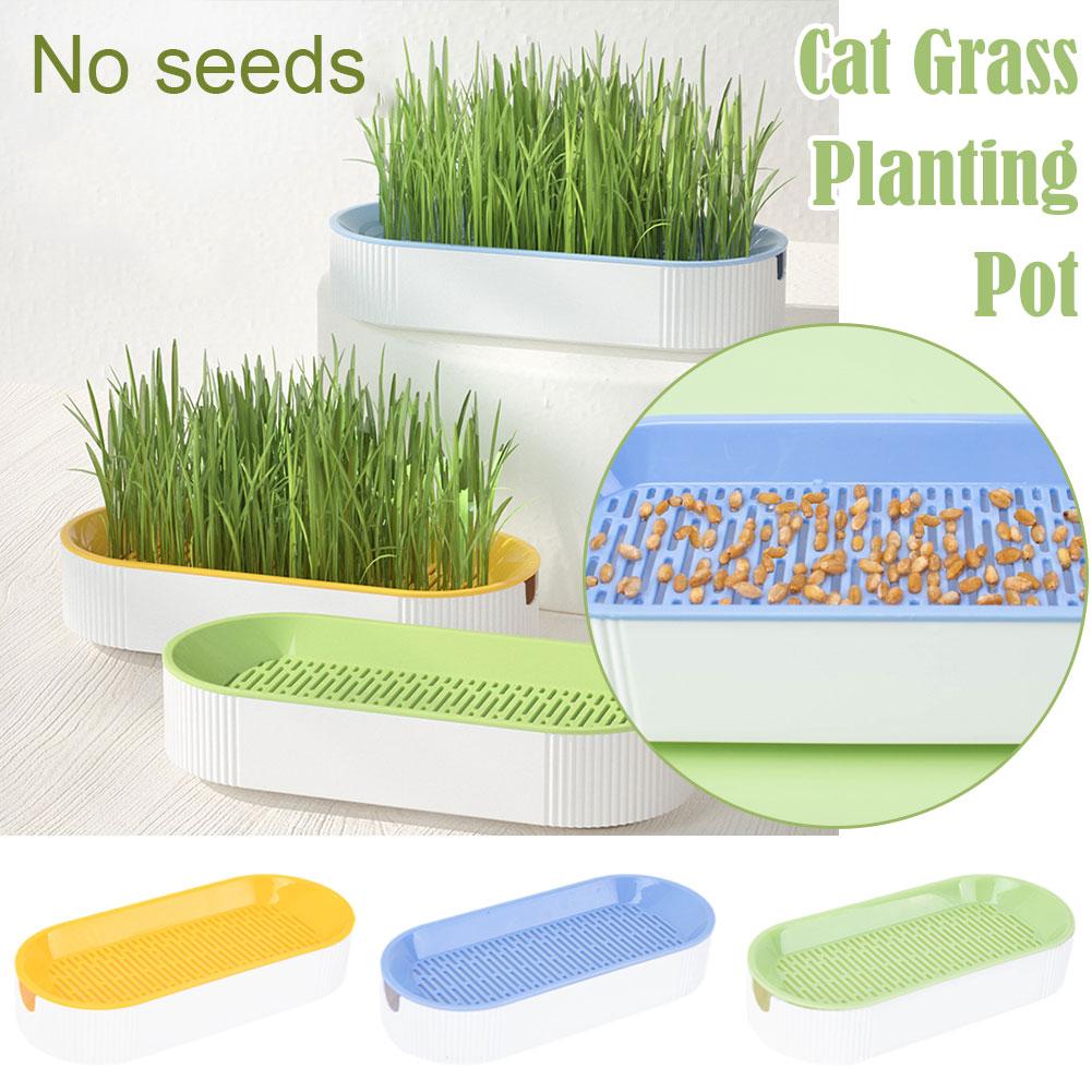 

1Set Cat Snack Cat Мята Посадка Гидропонный ящик Cat Set Catgrass Посадка Коробка Горшок Цвет Contras O6N8