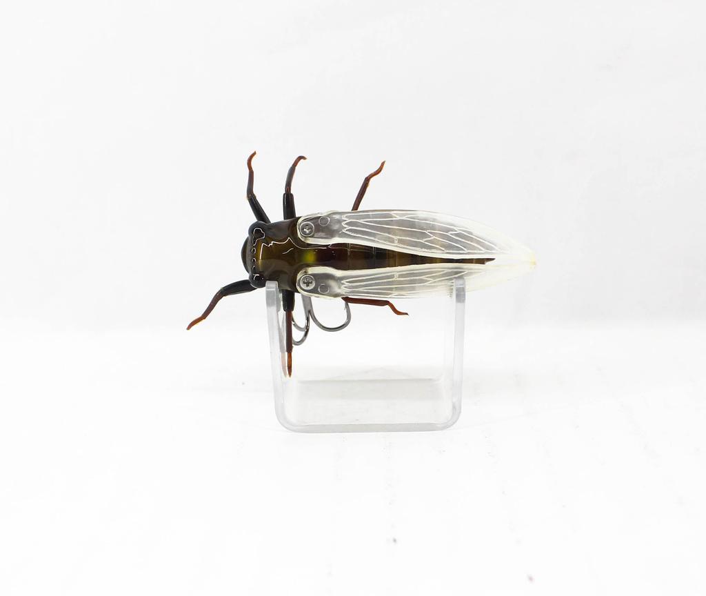 Jackson Namazemi Cicada Floating Lure HRZ (5015)