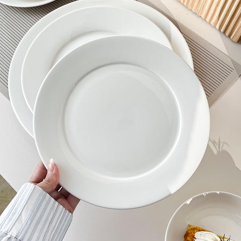 Morona 12-inch Round Ceramic Shallow Dinner Plates (Set of 10)